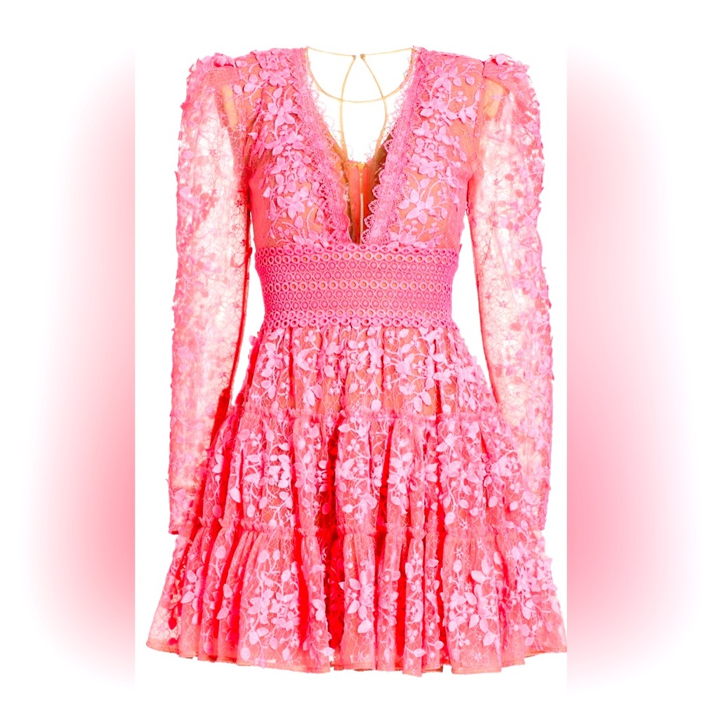 Bronx and Banco Megan Floral Lace Pink Dress!